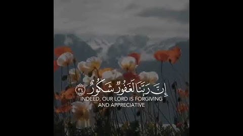 سورة فاطر | القارئ فارس عباد