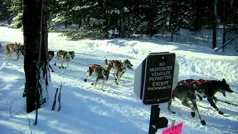 2011 John Beargrease Sled Dog Marathon Race #13 Br...