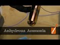 Distilling pure anhydrous ammonia