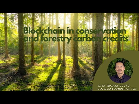 Blockchain applications in conservation and forestry carbon credits – interiew with Thomas Duong