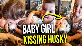 Baby Girl Giving Her Husky Sweet Kisses While Holding Onto Its Head