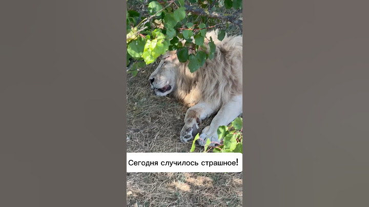 Сегодня случилось страшное! #семьяблогеров #многодетнаясемья #парк #тайган