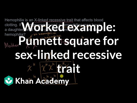 Example punnet square for sex-linked recessive trait | High school biology | Khan Academy