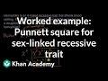 Genetic Traits and Punnett Squares in Hemophilia