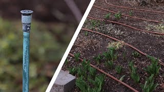 Converting Sprinklers to Drip in a Flower Bed! 💦🌿 // Garden Answer