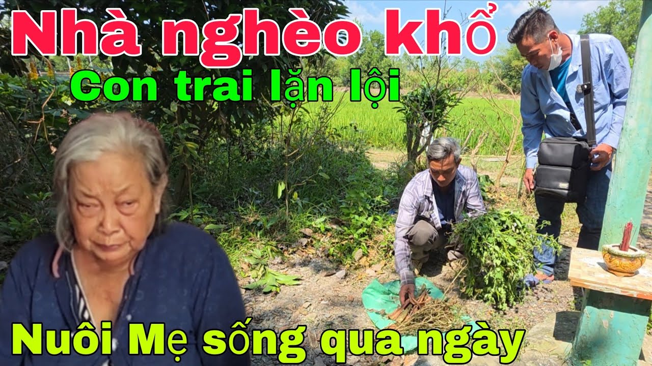 Nhà nghèo khổ không tiền lo mẹ con trai kiếm thuốc nam sống lây lất qua ngày .Nghĩa Phước Vlog 