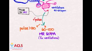 NRP Overview and Review  by ACLS Certification Institute