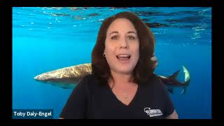 Shark Reproduction, Conservation and the Myth of Shark Attacks | Lunch & Learn Lecture