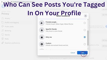 Who Can See Posts You