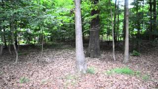 Outdoor House Tour: The Before