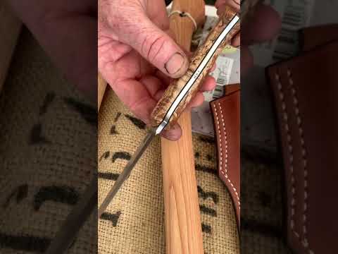 Ben Orford Bushcraft
