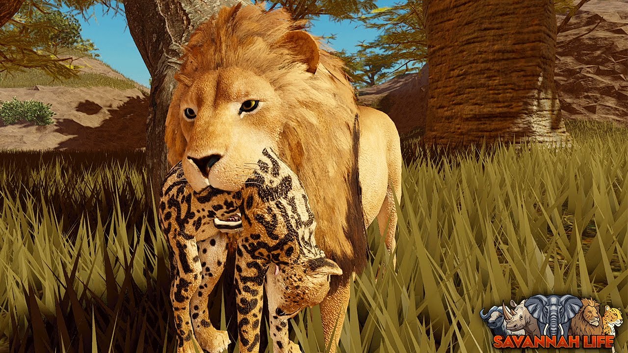 Лев спасает потерявшегося детёныша гепарда! | Savannah Life в ROBLOX