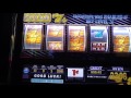 Nice Win! NY Gold slot machine at Empire City casino