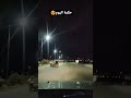 حكمة اليوم سطيف جيش من الوعول يقودهم أسد خير من جيش من الأسود يقودهم وعل سطيف العالي بارك مول