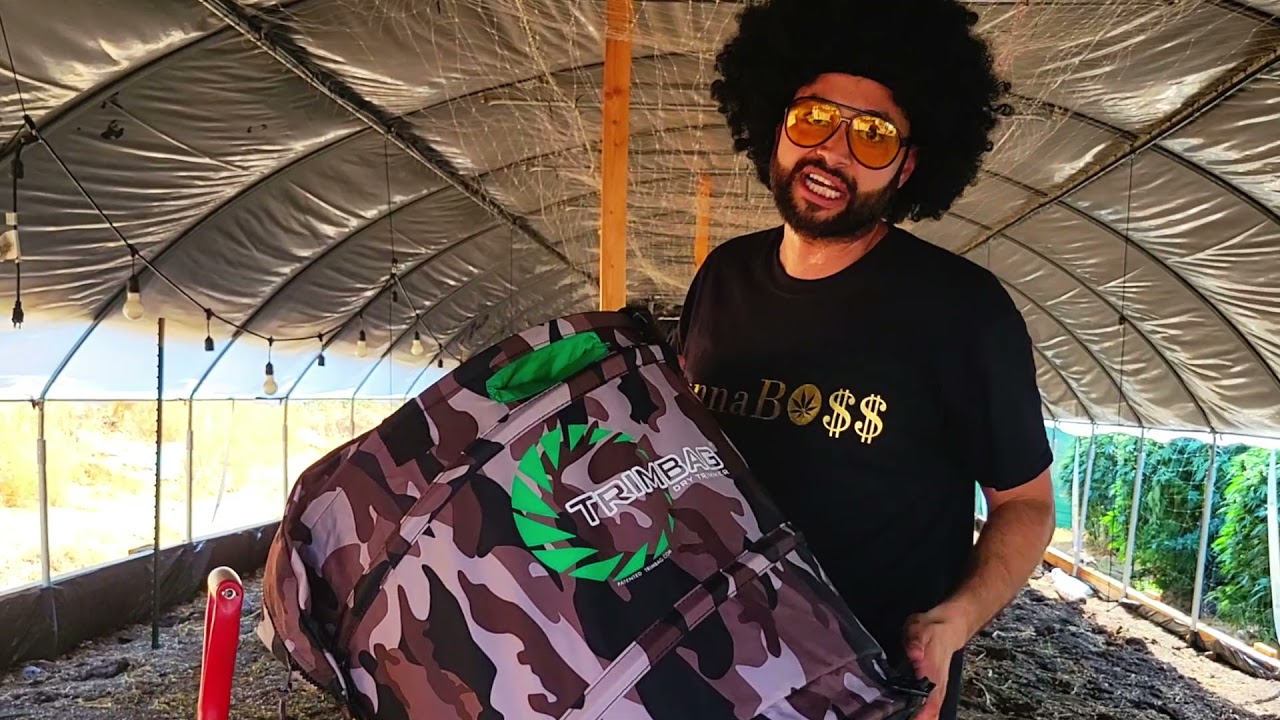 Top 5 Tips for Your Trimbag Dry Trimmer