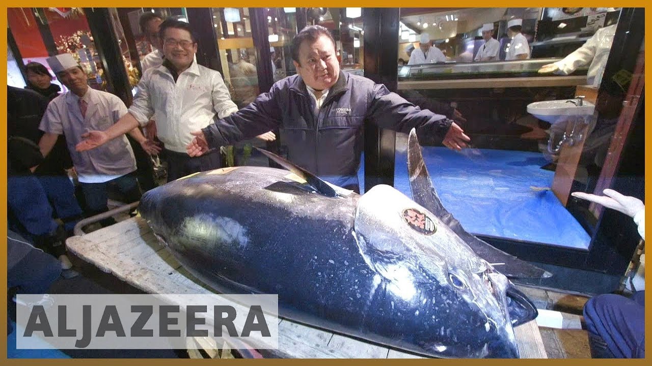 ⁣?? Japan's sushi king pays record price for bluefin tuna l Al Jazeera English