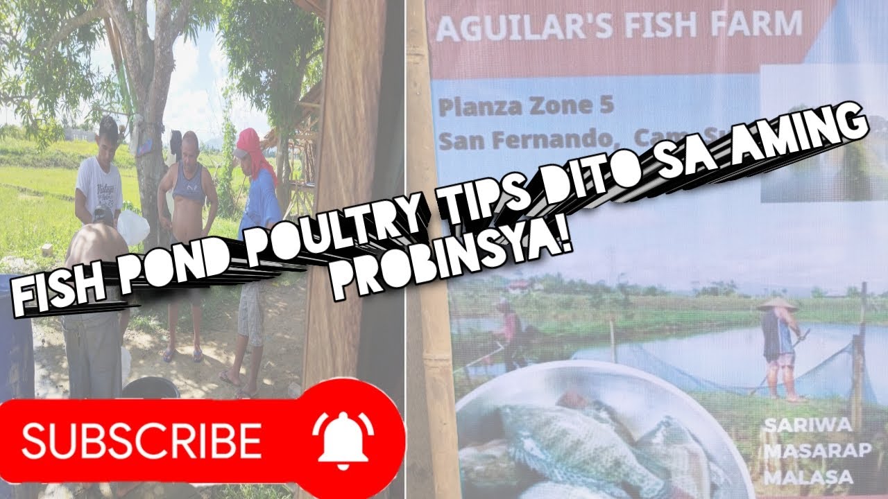 Fishpond poultry tips, alamin! #fishpond #fishing