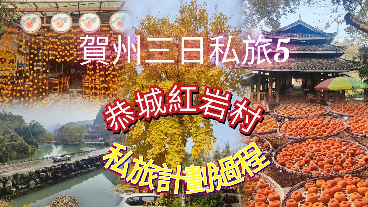 賀州三日私人旅行團5：恭城紅岩村一片柿子收成的美景、瑤族特色滾水背、風雨橋、油茶😁及是次旅程行的計劃過程與安排