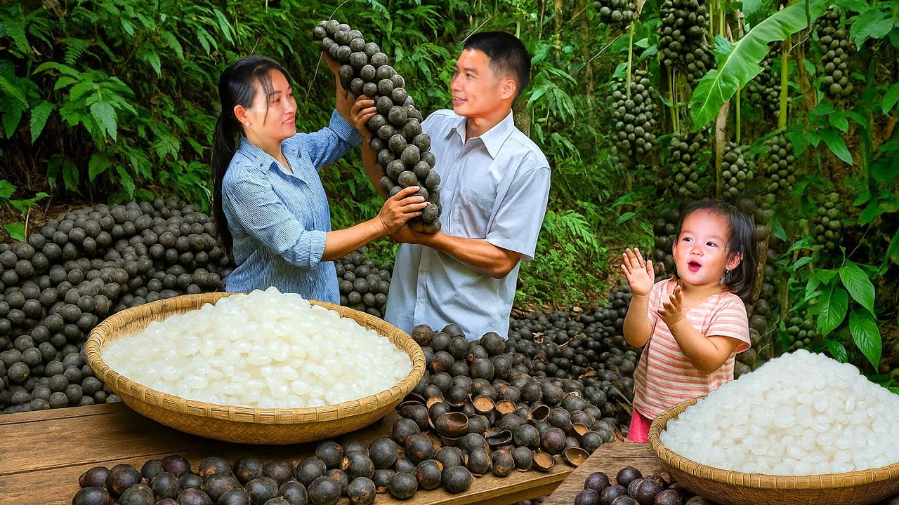 Wild Fruit Harvest: Turning Fresh Picks into Homemade Colorfull Jelly & Small Family Joy