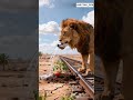 ek hathi ka ek Sher ka kahani 😮 #viralvideos #aivideo