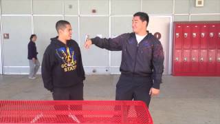 Spring Project Physics