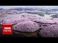 New video by BBC News on YouTube