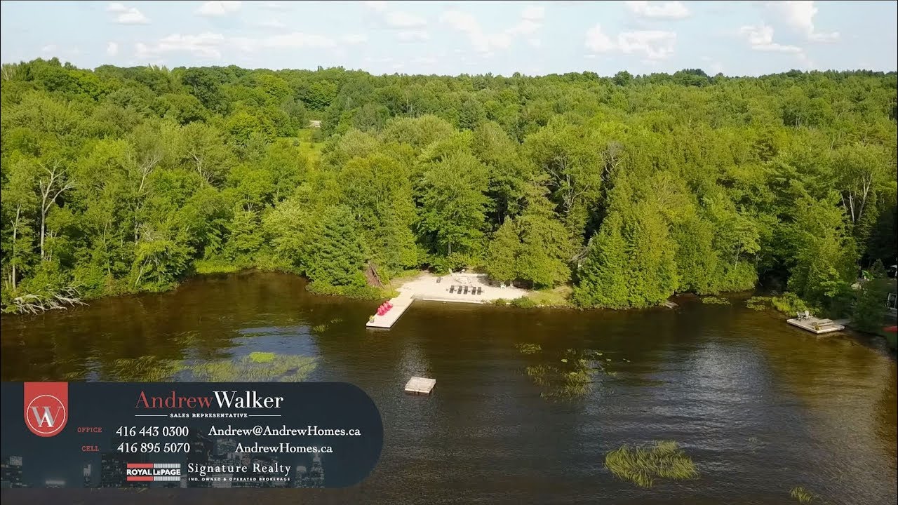HUGE Muskoka Cottage Property for Sale YouTube