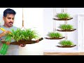 Amazing Ideas /Hanging Garden Ideas Your Home /Gardening Ideas /Hanging Plants