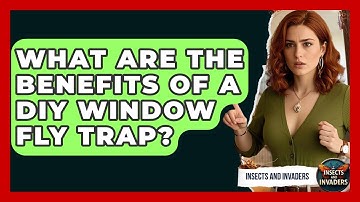 What Are The Benefits Of A DIY Window Fly Trap? - Insects and Invaders