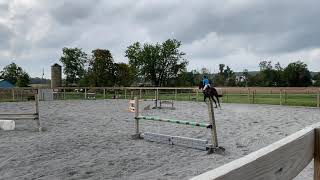 Sarah Alexander Jumper Suitability 2ft. 3 (Course 1)