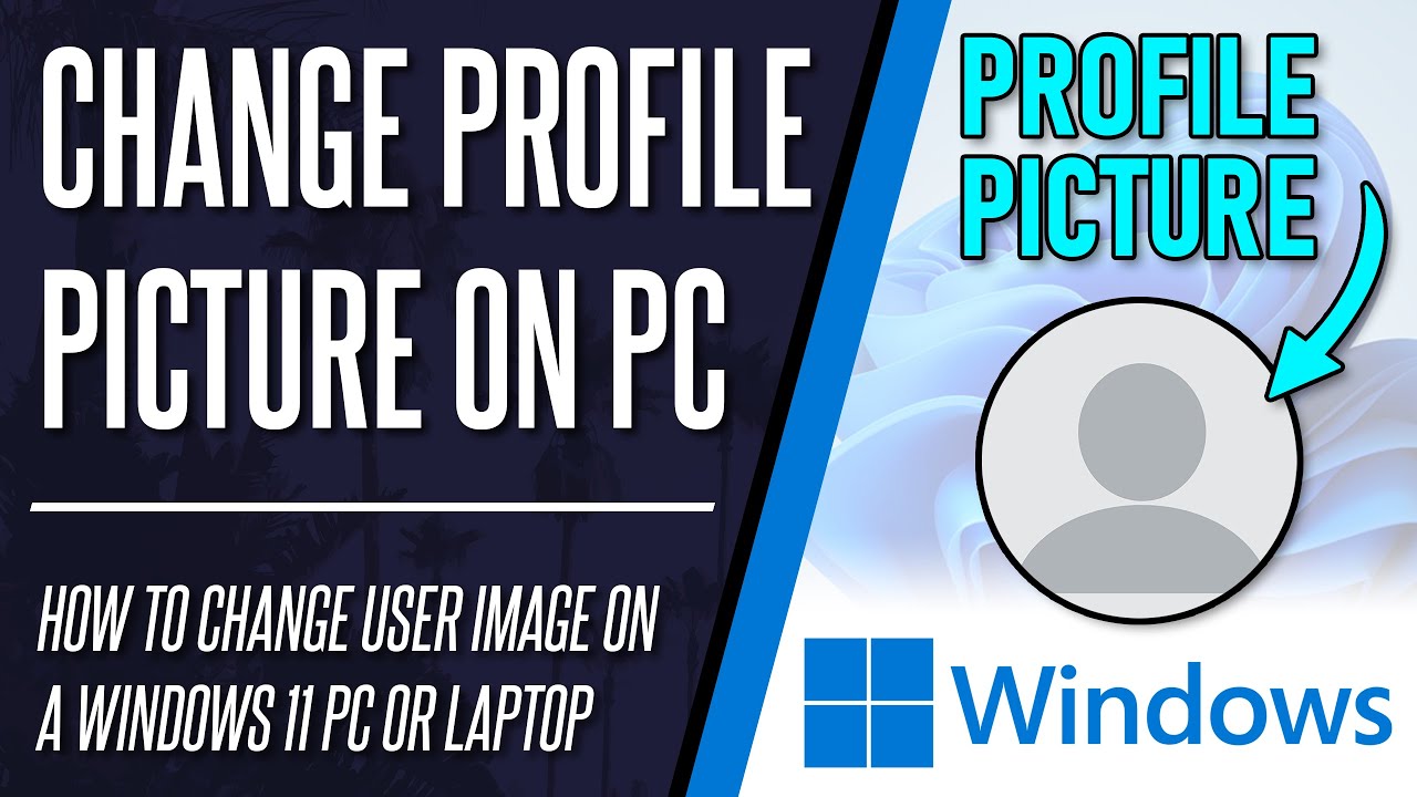 Windows 11 Profile Photo