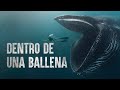 Cómo Sobrevivir a ser devorado por una ballena