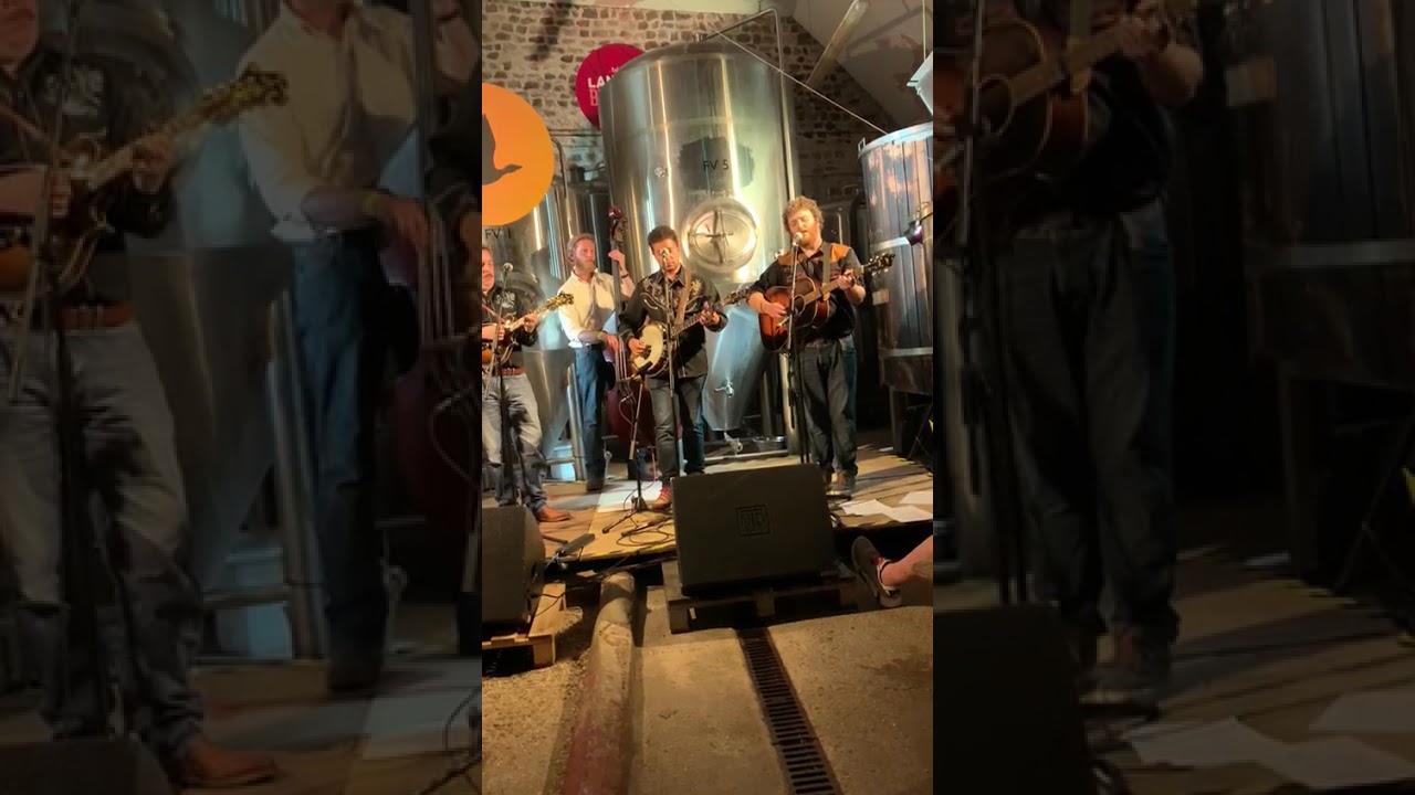 The Vanguards perform at the Yellow Moon Festival 2025