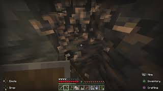 Bro found a 17 vien of Iron