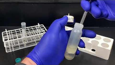 Extraction of DNA from E coli