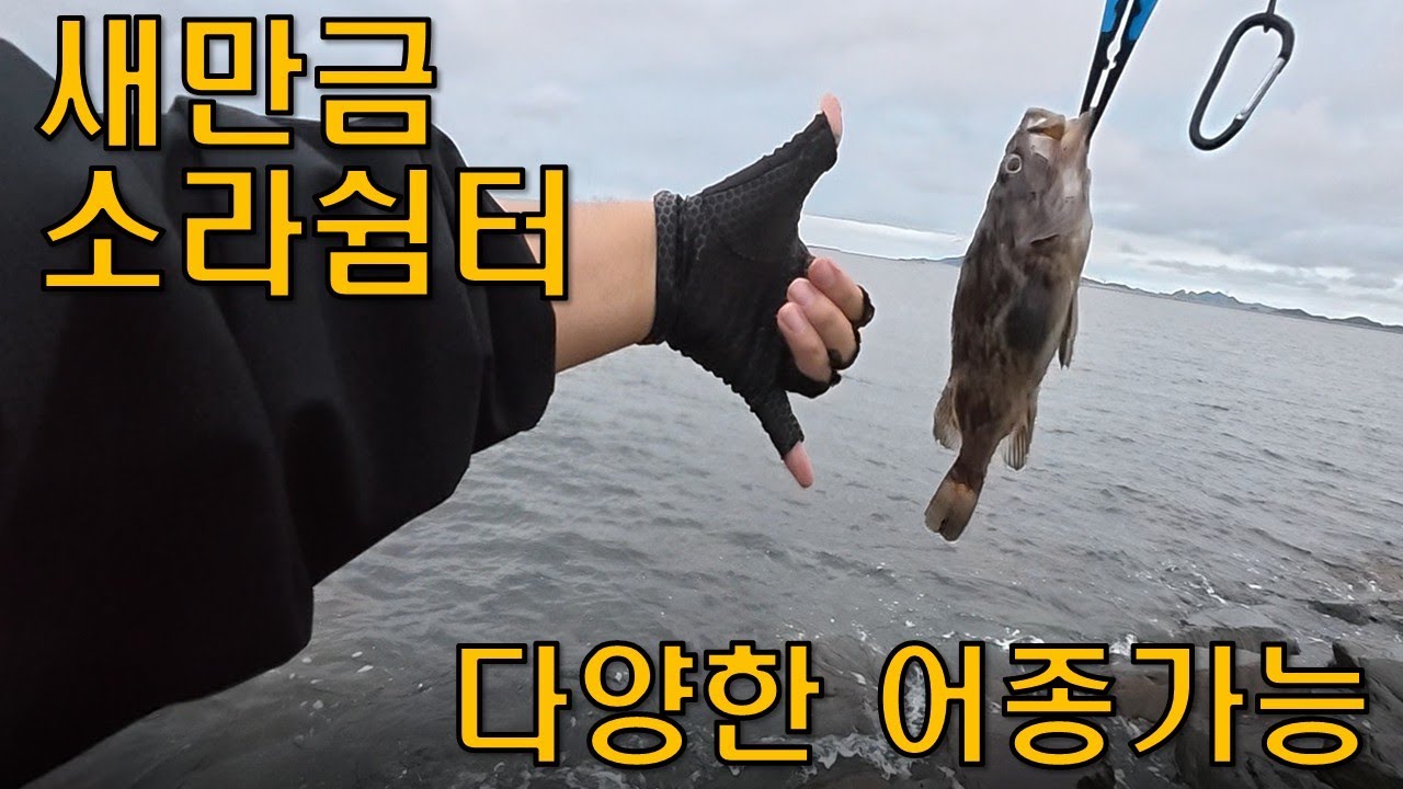 새만금 소라쉼터 메탈게임(풀치,우럭,망둥어,갈매기...)