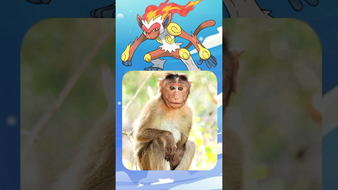 Top - 10 Started Pokemon real life from Evolution : Pokemon in real life live # POKEMON