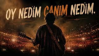 Oy Nedir Canım Nedim - Ai Hitmaker