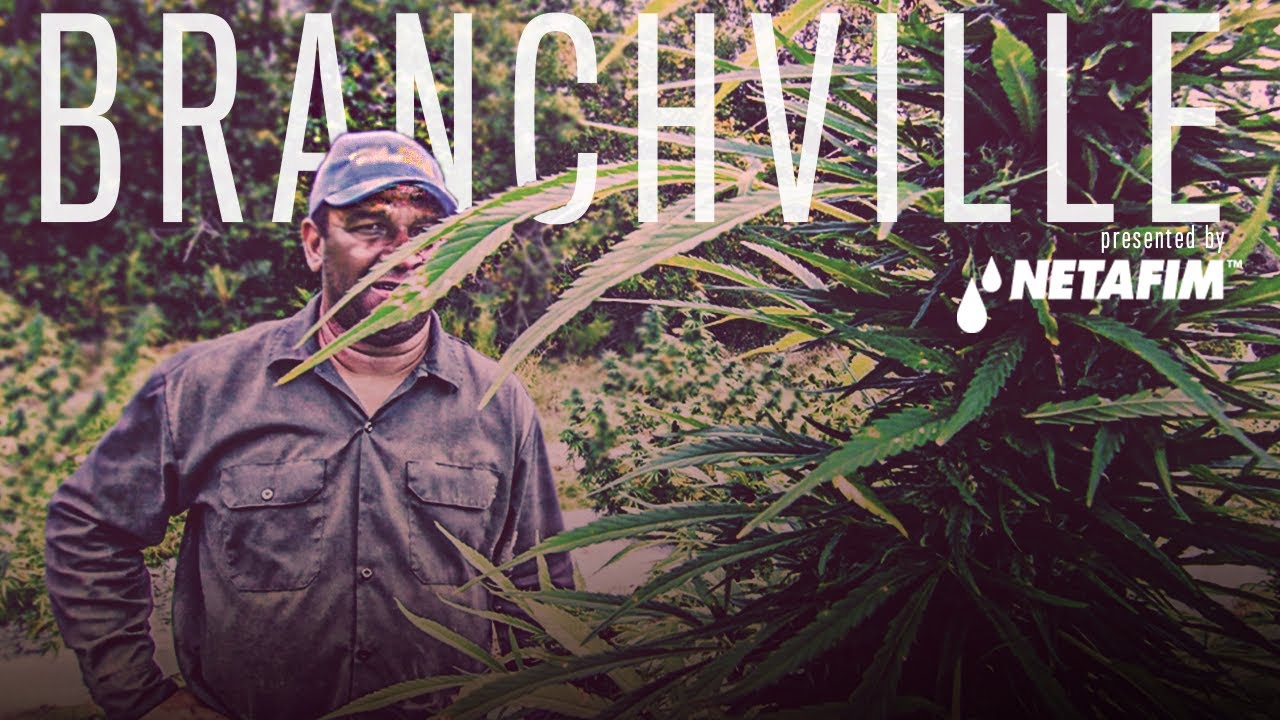 Branchville Official Trailer 4 YouTube