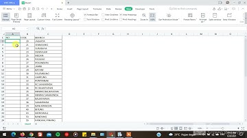 WPS Spreadsheet 1. Numbering