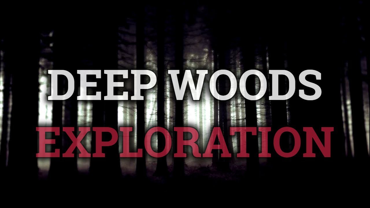 8 Scary Deep Woods Exploration Stories (Vol. 15)