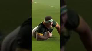 This is Springboks Rugby rugby shortsbeta