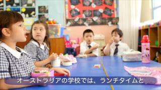 2016 - Kindy School Life at Sydney Japanese Intern