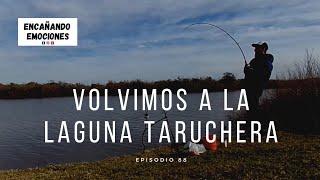 Mojarriando,Tarariras /PESCA en LAGUNA / Entre Ríos. #Pesca #Laguna #Tararira
