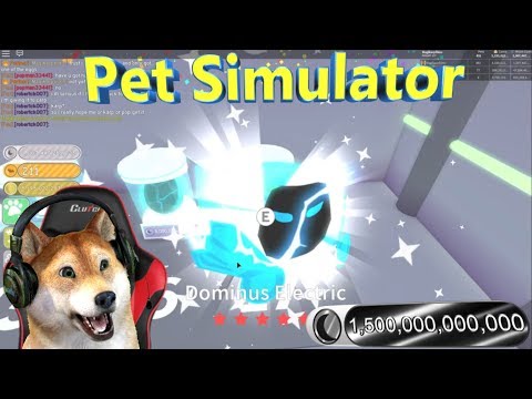 Roblox Pet Simulator Dominus Rainbow Big Giveaway Tier 17 - 05 chance very rare pets english roblox pet