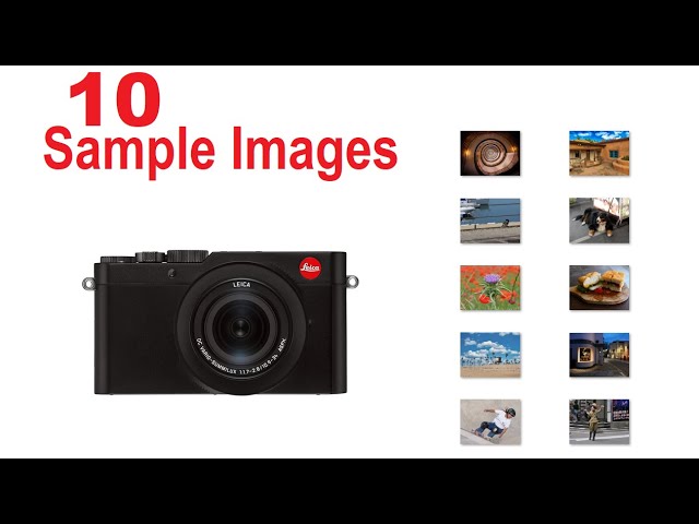 Leica D-lux 7 street photography: 15 Critical things you need to know  [Image Samples][2023] - Red Dot Camera