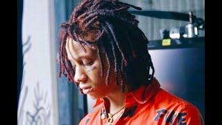 ALL REDD - Trippie Redd (Unreleased Song) (Snippet)