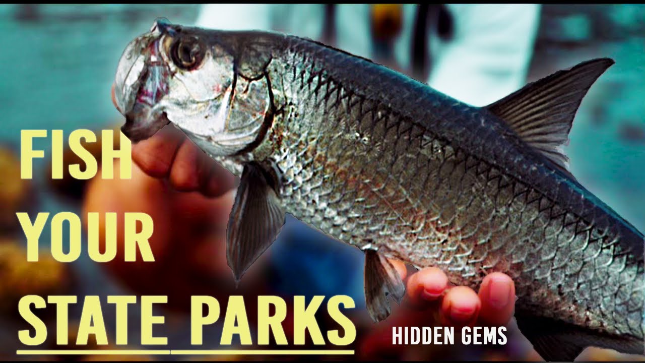 Fishing Florida State Park- Hidden Gems!