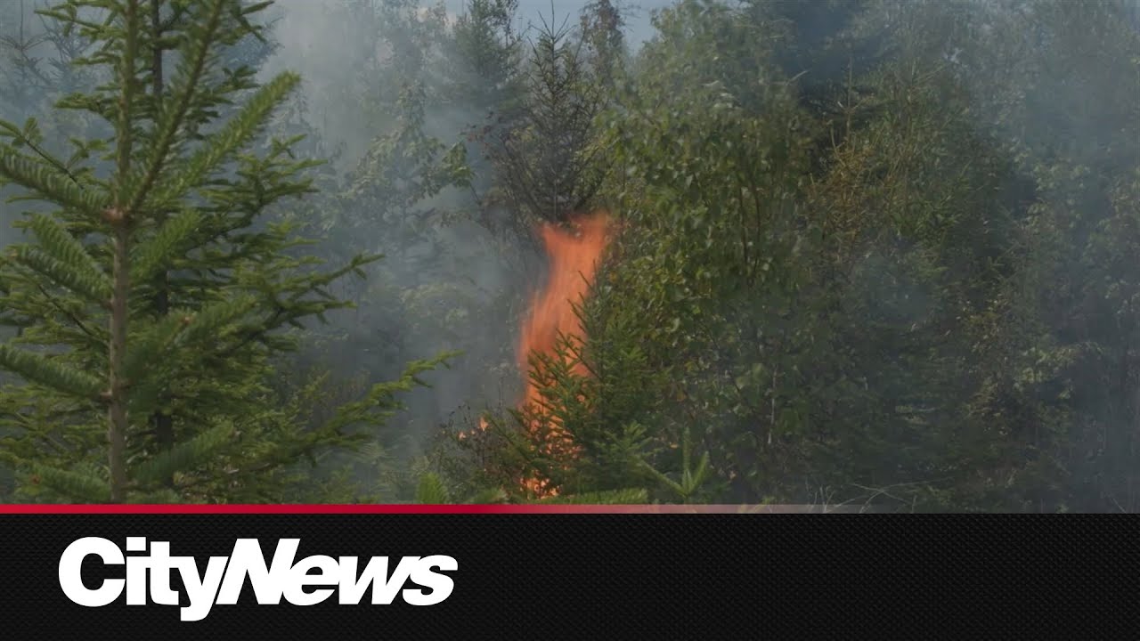 Nova Scotia firefighters battle out-of-control wildfire