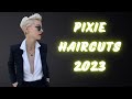 ✂️ PIXIE CHAPTER - Be on Trend 2022